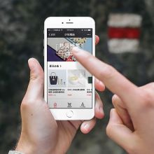 天津市龍華新技術(shù)開發(fā)公司 玩具、電子產(chǎn)品與軟件的互聯(lián)網(wǎng)銷售新勢(shì)力