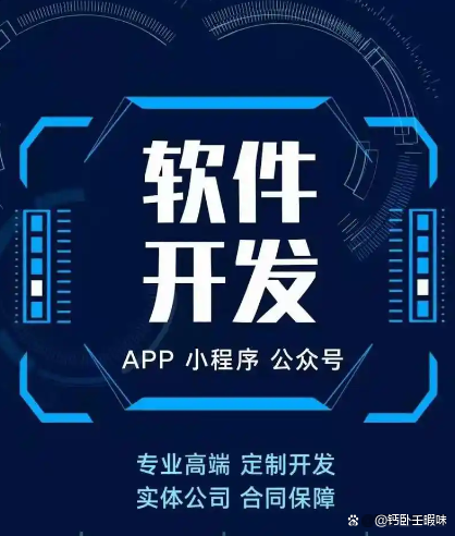 個(gè)性化功能需求，專業(yè)定制軟件開發(fā)服務(wù)如何全面滿足？